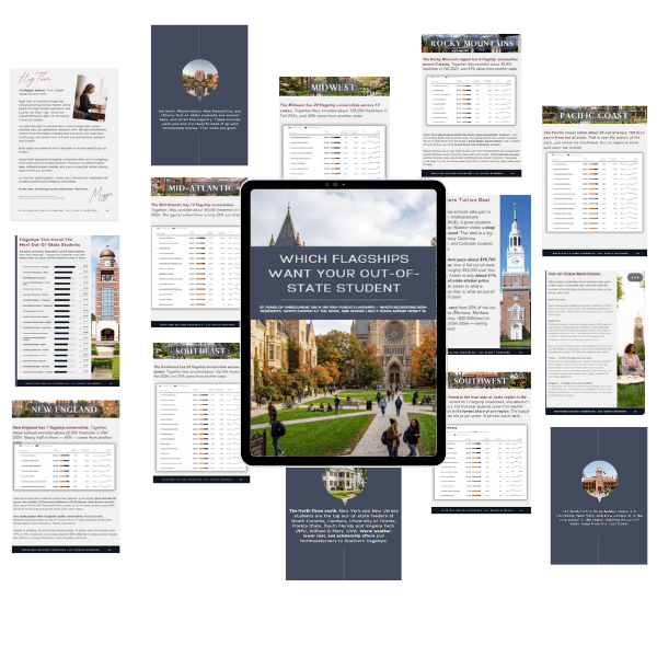 Flagship Universities Report